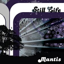 Mantis / Still Life