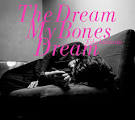 The Dream My Bones Dream / 石橋英子 (2018)