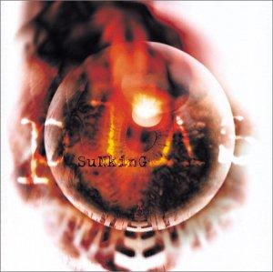plΛs / Sunking (2001)