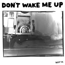 The Microphones / Don't Wake Me Up