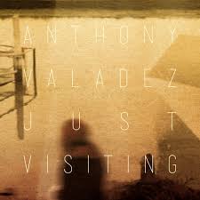 Just Visiting / Anthony Valadez (2012)