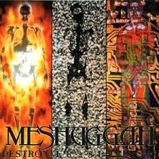 Destroy Erase Improve / Meshuggah (1995)