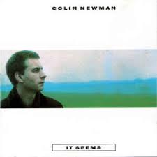Colin Newman / It Seems