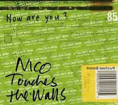 NICO Touches the Walls / How are you?