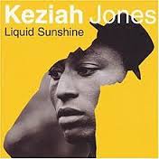 Keziah Jones / Liquid Sunshine