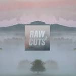 Chillhop Raw Cuts 2 / Various Artists (2017)