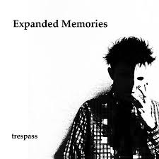 Expanded Memories / trespass (2016)