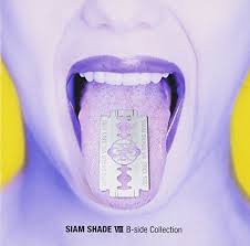 SIAM SHADE VIII B-side Collection / SIAM SHADE (2002)
