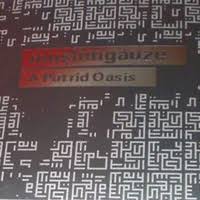 A Putrid Oasis / Muslimgauze (2014) - Albums::View - syncreview(beta)