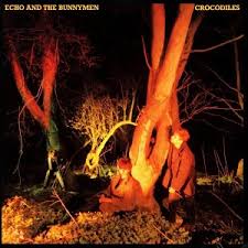 Crocodiles / Echo & The Bunnymen (1980)