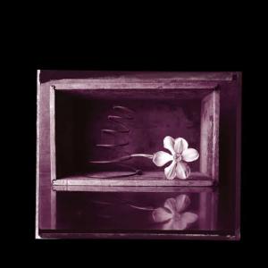 Rob Crow & Kramer / Hymns