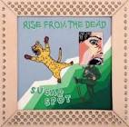 Rise From The Dead / SUGAR SPOT