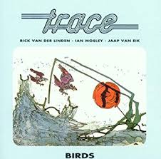 Trace / Birds