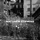 Foreign Ghosts / Matthew Stevens (2021)