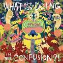 What Are You Doing In This Confusion / Fresh (2012)